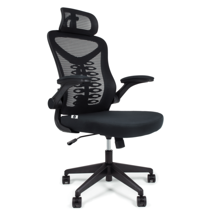 Cadeira Escritório Ergonômica Gogo Premium Chair GO200 Mesh - Preta