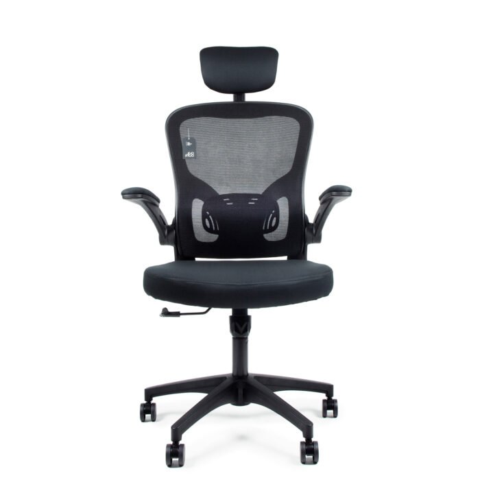 Cadeira Presidente Escritório GO-100 Ergonômica Gogo Chair - Cores