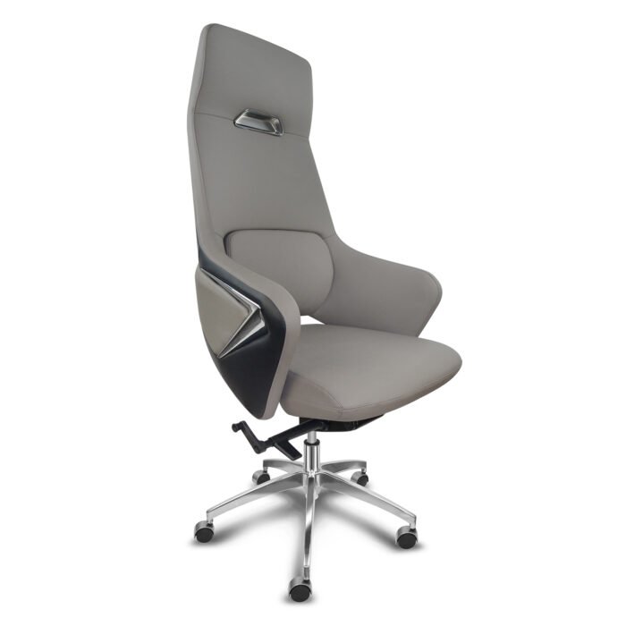 Cadeira Presidente Escritório GO-1000 Ergonômica Gogo Chair Deluxe - Cores