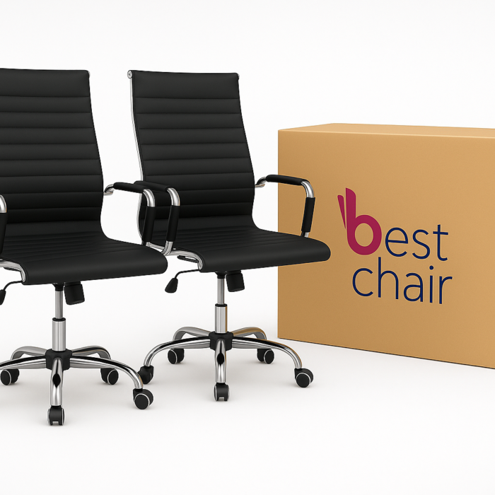 Kit 2 Cadeira Presidente Giratória Esteirinha Charles Eames - Cores