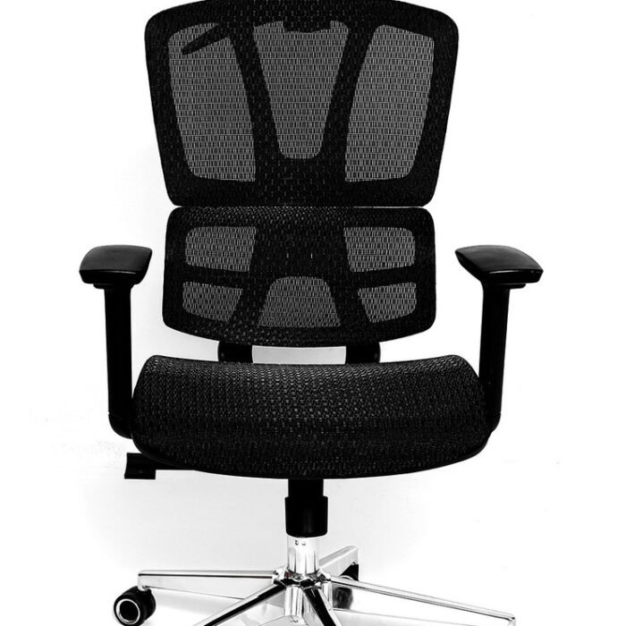 Cadeira Presidente Escritório Ergonômica Gogo Chair GO-301 - Preta
